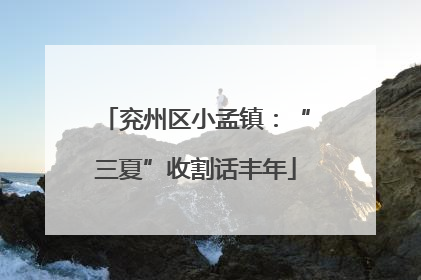 兖州区小孟镇：“三夏”收割话丰年